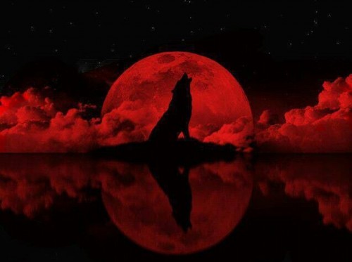 redmoonwolf