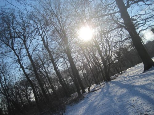 Sol på sne